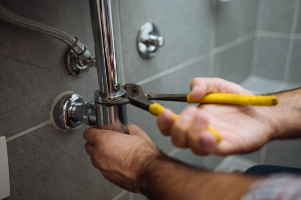 Best Clogged Drain Plumber  in Portage, WI